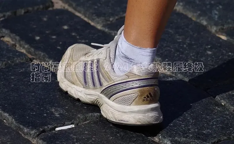 意昂3登陆入口即登录知乎时尚高跟黑鞋：2024 年女款鞋履终极
指南