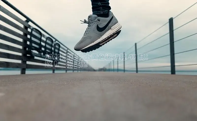 意昂3平台客服小红书2024 潮牌男士黄色运动鞋 43 码：
踏上時尚之巅