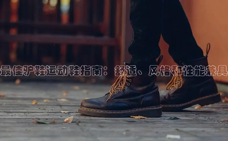 意昂三登录入口极氪智能科技最佳驴鞋运动鞋指南：舒适、风格和性能兼具