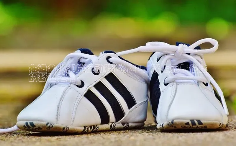 意昂3手机版登陆入口在哪里网易在适合小脚的运动鞋世界中，踏上无与伦比
的舒适之旅