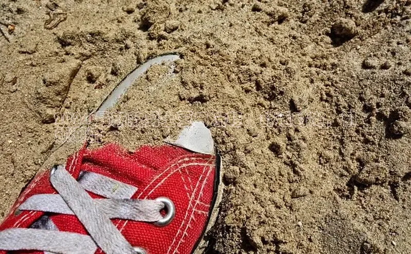 意昂3官网登陆入口宇信科技2024 最新款男士夏日凉鞋：舒适时尚，引
领潮流