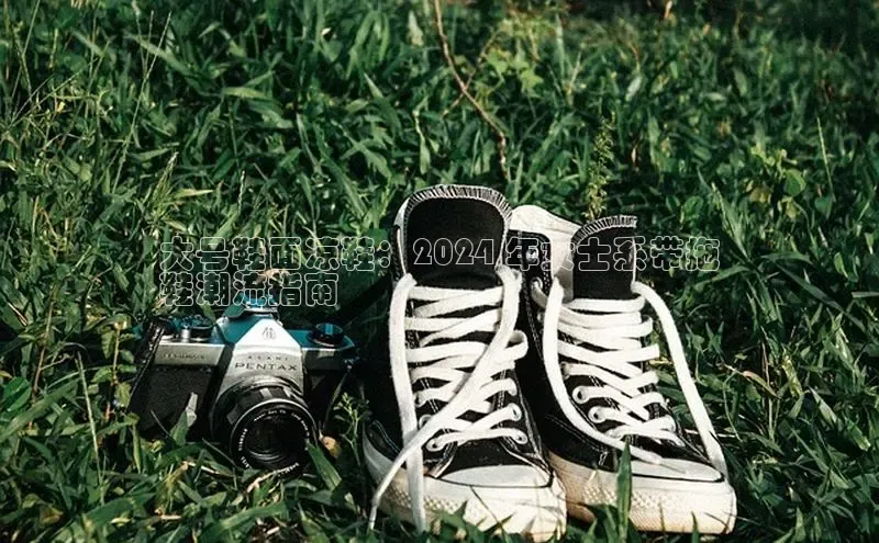 意昂3官网入口猫眼大号鞋面凉鞋：2024 年女士系带拖
鞋潮流指南