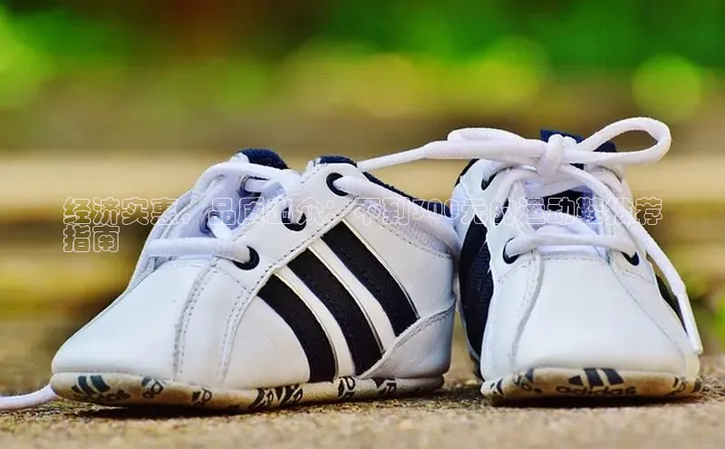 意昂3手机版官网视觉中国经济实惠，品质出众：不到300元的运动鞋推荐
指南