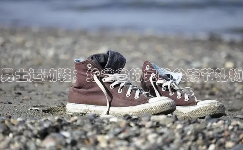 意昂3登陆入口携程男士运动鞋：给爸爸的完美父亲节礼物