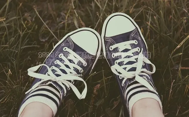 意昂3登陆入口度小满理财2024 年最新爆款：舒适保暖的二棉鞋
，专为女性打造