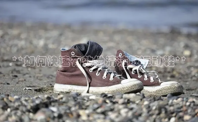 意昂3官网登陆入口宇信科技**如何快速有效地清洁脏运动鞋**