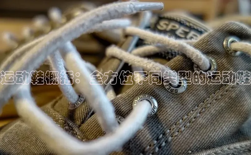 意昂3平台注册网页版彩讯股份运动鞋概括：全方位不同类型的运动鞋
