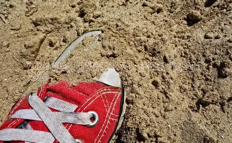 意昂体育3娱乐用176五八27从巴美列捷福2024 爆款男童秋季鞋子：舒适时尚的超值
之选