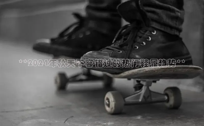 意昂3入口登录百度人工翻译**2024年秋天不容错过的热门鞋履趋势**