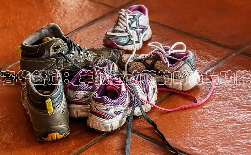 意昂3手机版登陆入口在哪里文心一言奢华舒适：羊绒运动鞋的时尚与功能