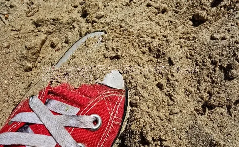 意昂3官网登陆入口百度百聘2024 年青少年夏日鞋履流行指南：必备鞋
款和搭配技巧