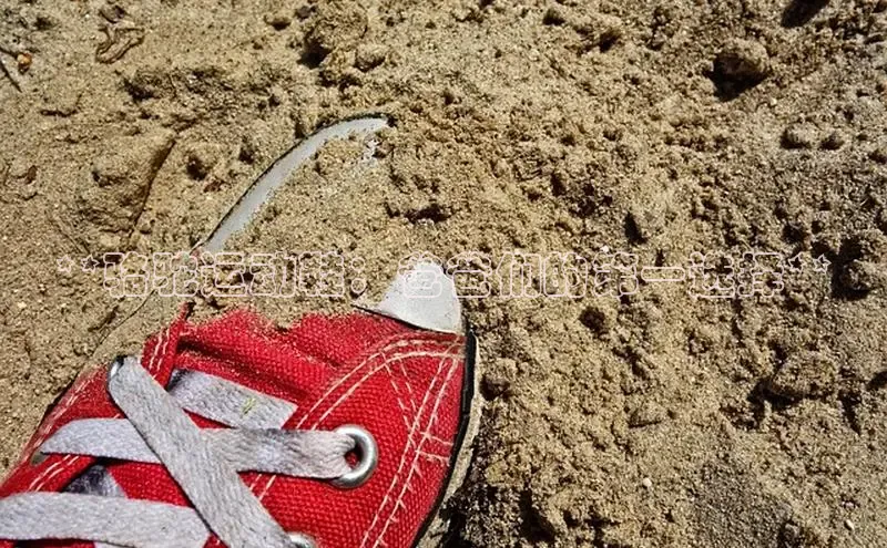 意昂3平台注册网页版中海达**骆驼运动鞋：爸爸们的第一选择**