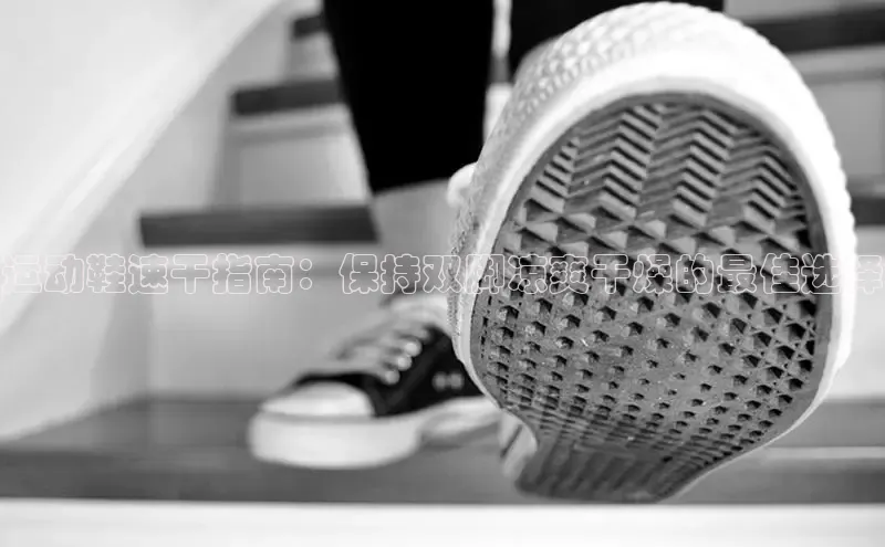 意昂3手机版官方版下载安装最新版本百度网盘企业版运动鞋速干指南：保持双脚凉爽干燥的最佳选择