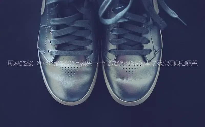 意昂体育3娱乐用176五八27从百度翻译App预见未来：2025年的科技与潮流——官方对运动鞋行业的深度洞察和展望